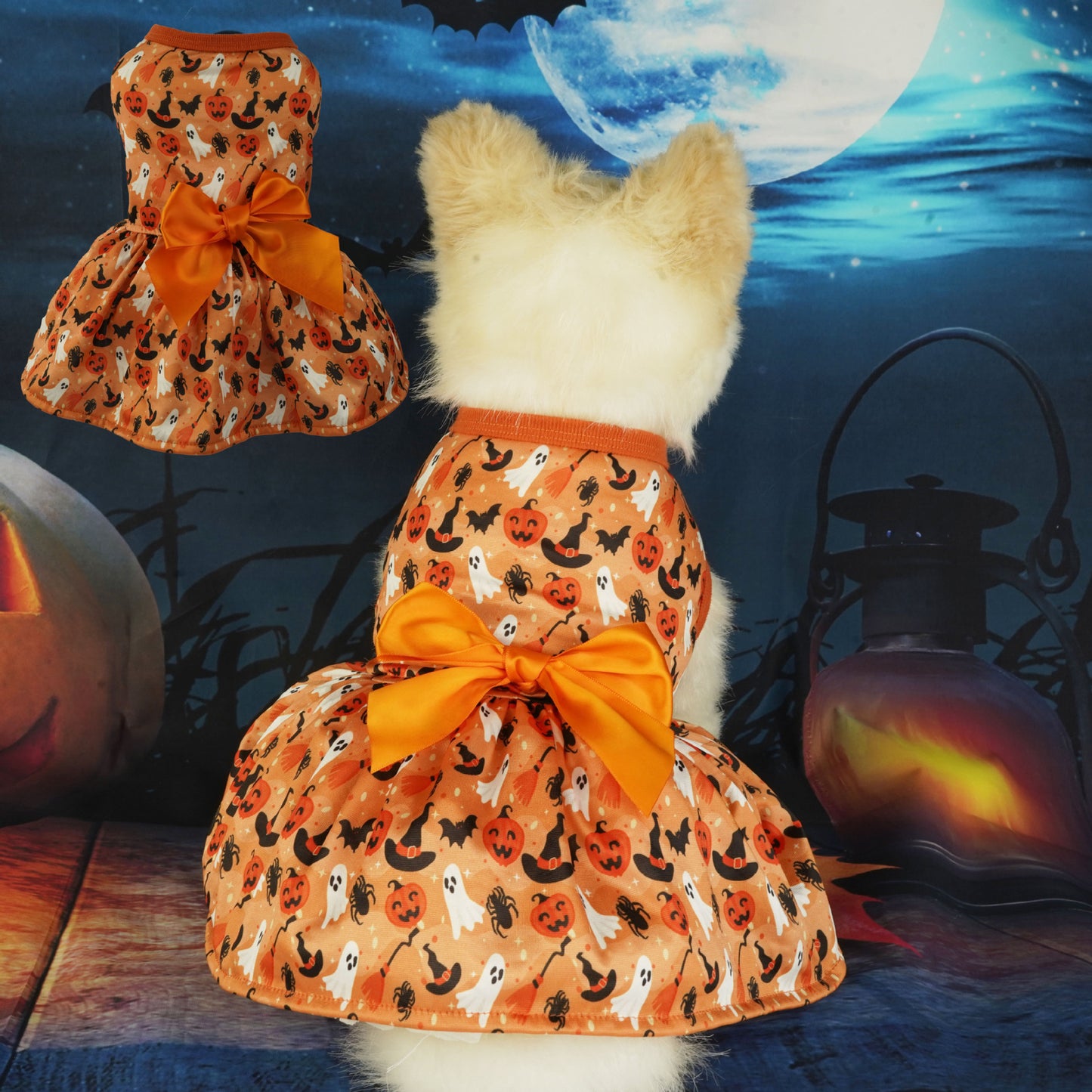 Festive Halloween Pet Party Dress