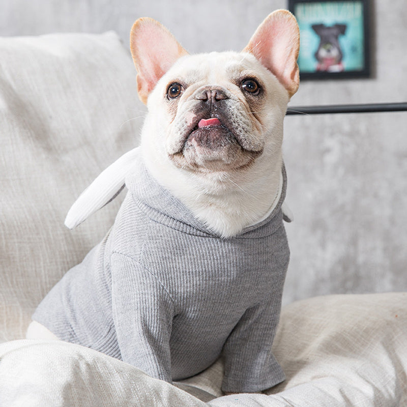 Halloween Dog Sweater Costume