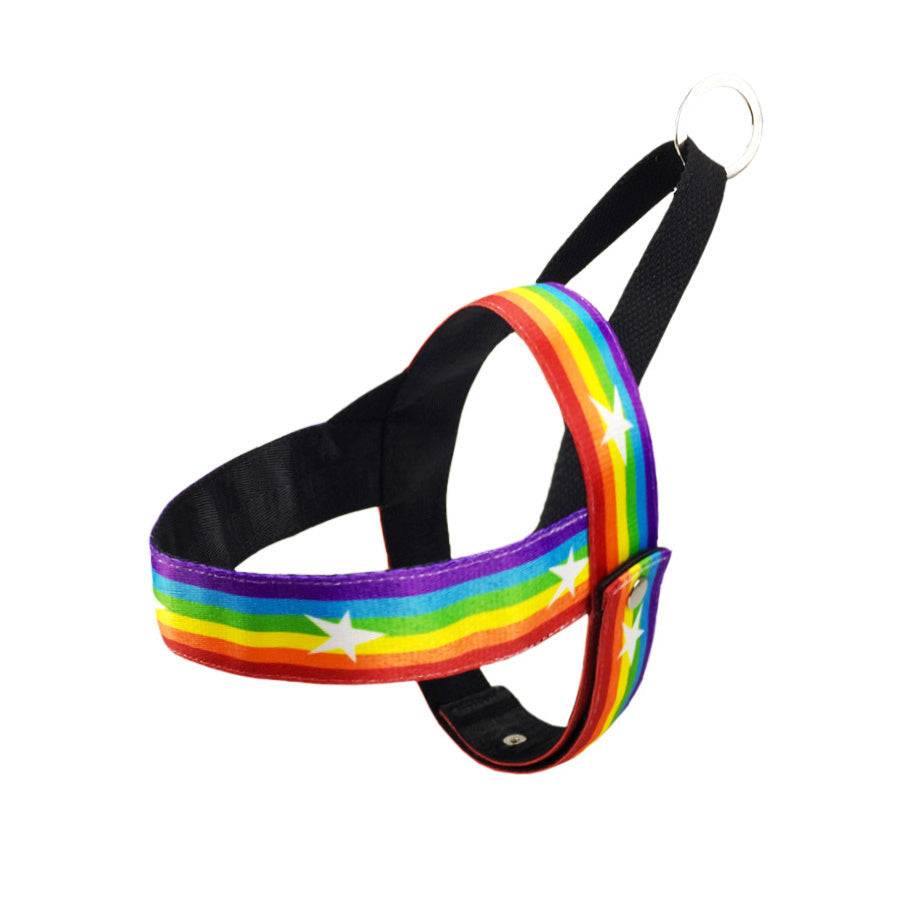 Pride Rainbow Dog Harness & Leash