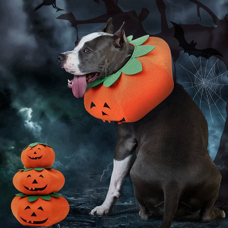 Cute Pumpkin Halloween Pet Collar Costume