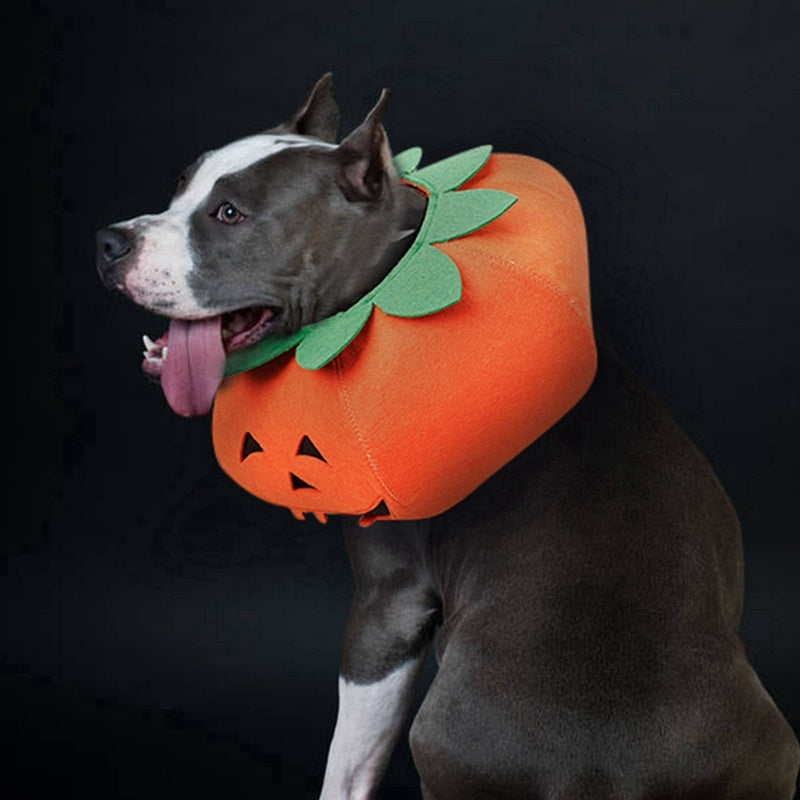 Cute Pumpkin Halloween Pet Collar Costume