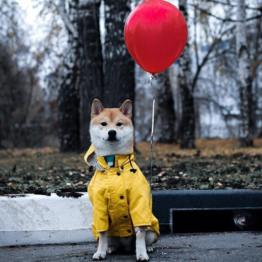 Waterproof Dog Raincoat