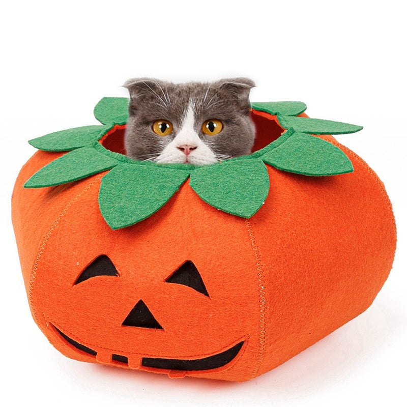 Cute Pumpkin Halloween Pet Collar Costume