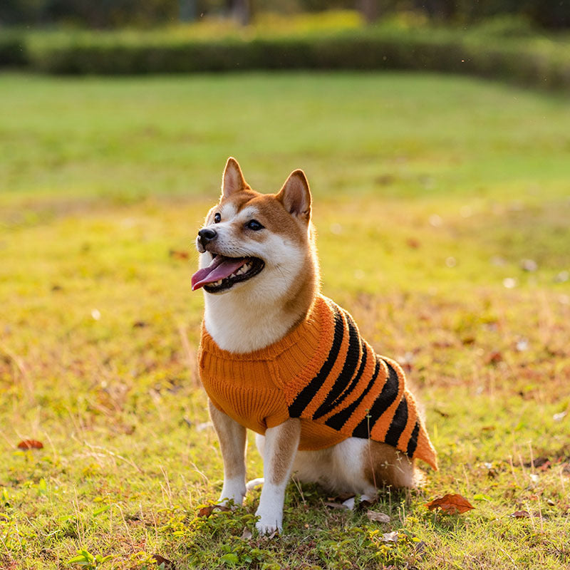 Cozy Halloween Dog Sweaters