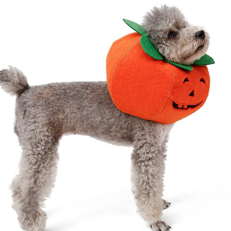 Cute Pumpkin Halloween Pet Collar Costume