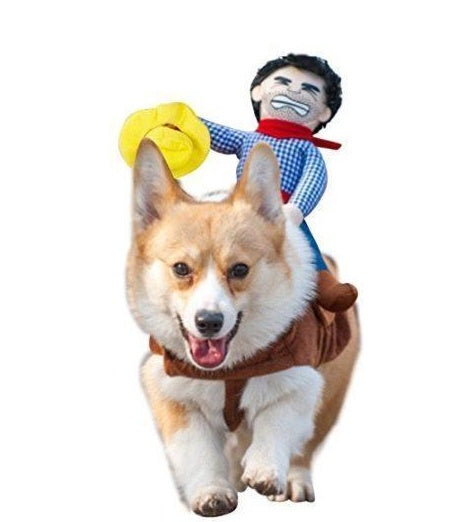 Funny Cowboy Dog Costume