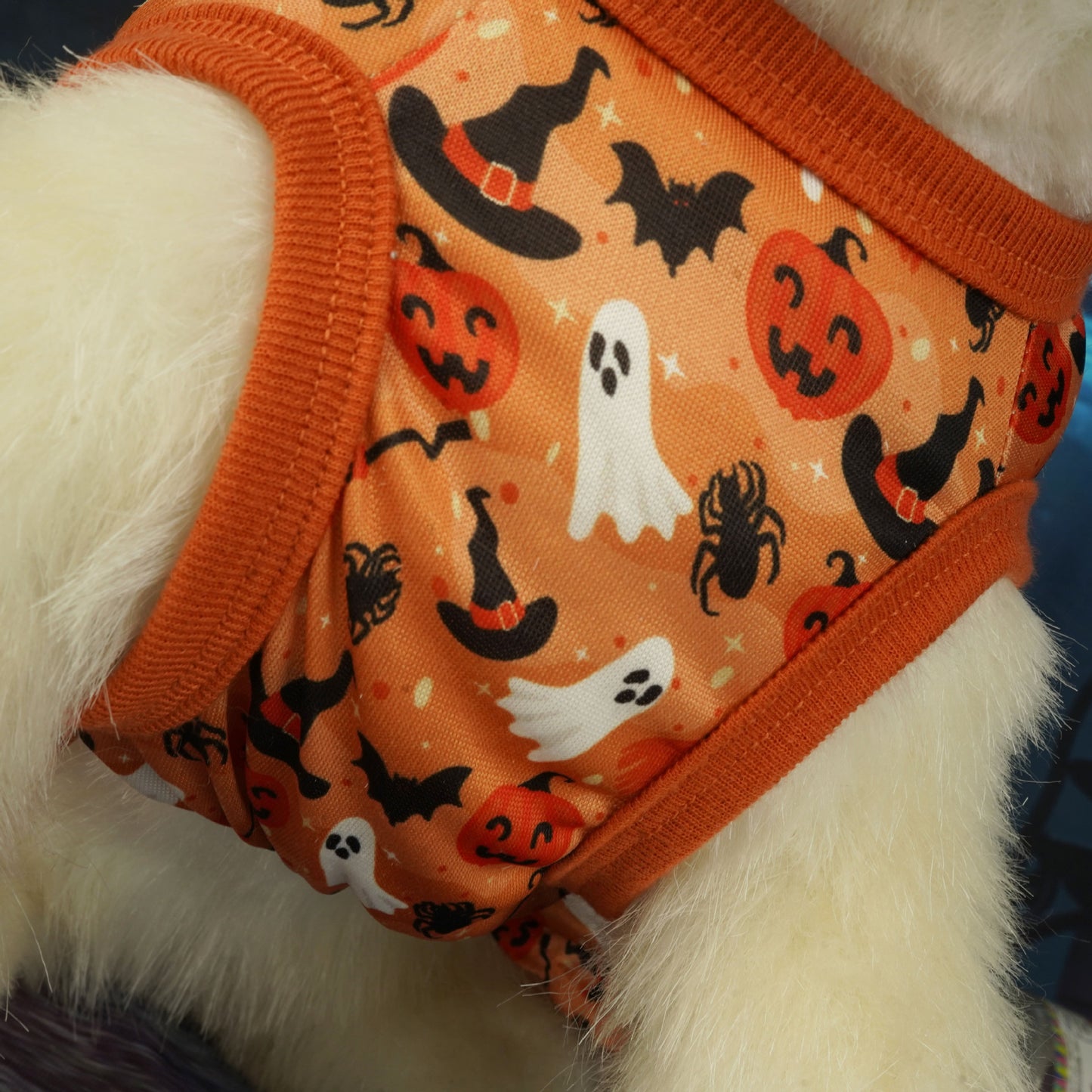 Festive Halloween Pet Party Dress