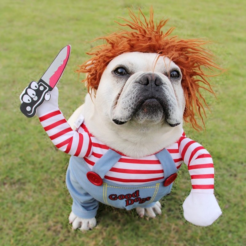 Funny Halloween Dog Costume - Good Dogs