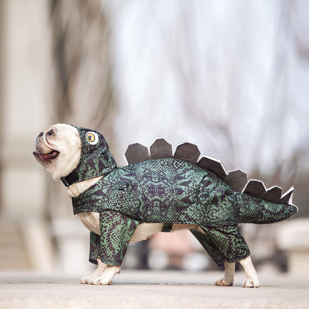 Adorable Dinosaur Pet Costume