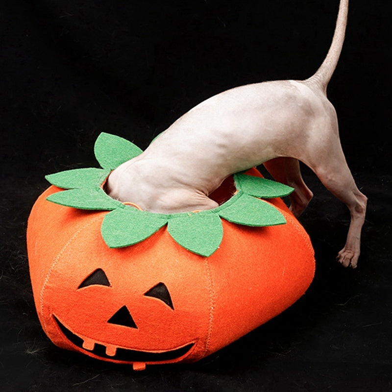 Cute Pumpkin Halloween Pet Collar Costume