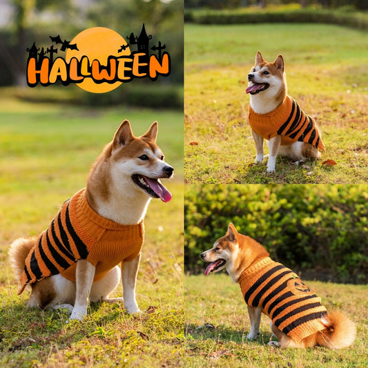 Cozy Halloween Dog Sweaters