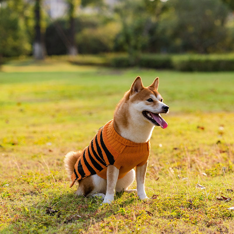 Cozy Halloween Dog Sweaters