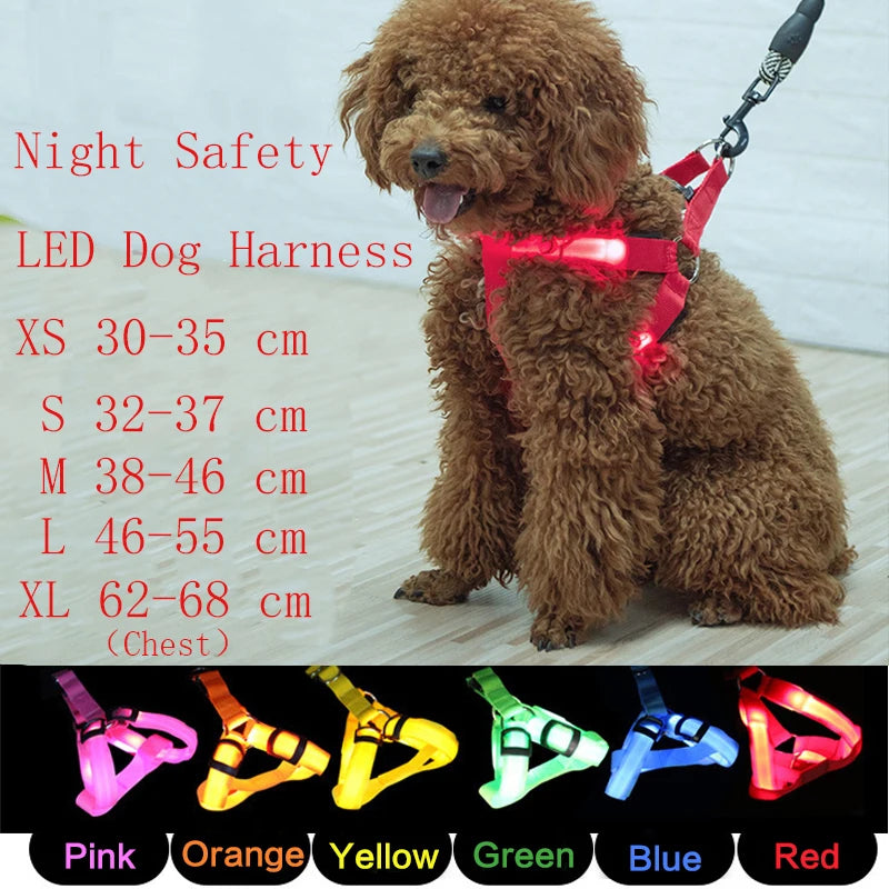 USB Rechargeable LED Dog Harness - No Pull, Luminous Nylon Pet Collar for Night Safety & Running