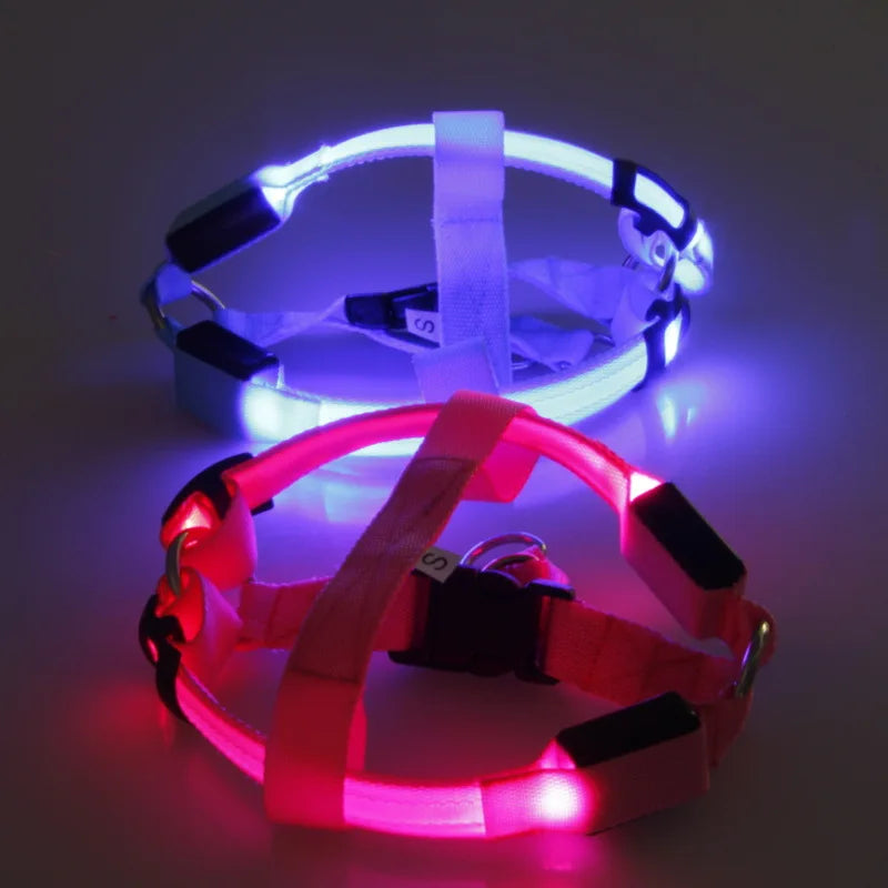 USB Rechargeable LED Dog Harness - No Pull, Luminous Nylon Pet Collar for Night Safety & Running