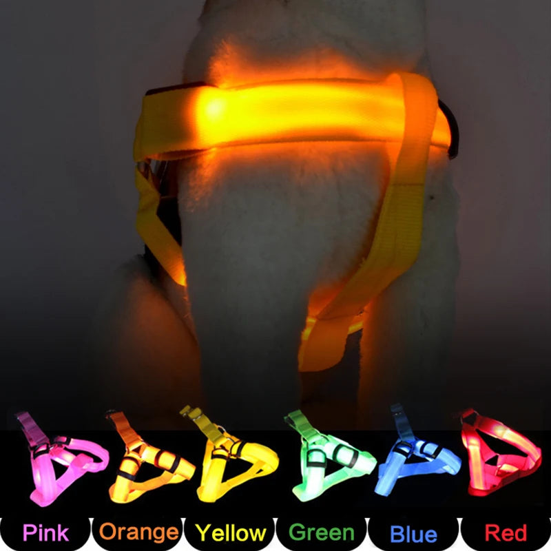 USB Rechargeable LED Dog Harness - No Pull, Luminous Nylon Pet Collar for Night Safety & Running