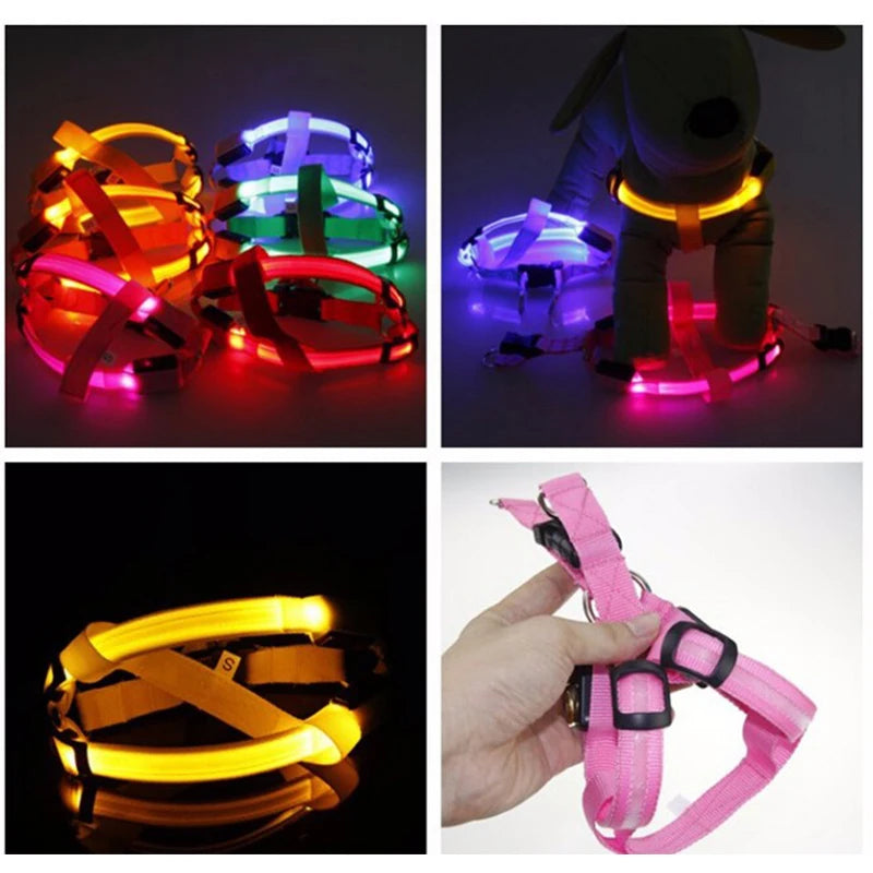 USB Rechargeable LED Dog Harness - No Pull, Luminous Nylon Pet Collar for Night Safety & Running