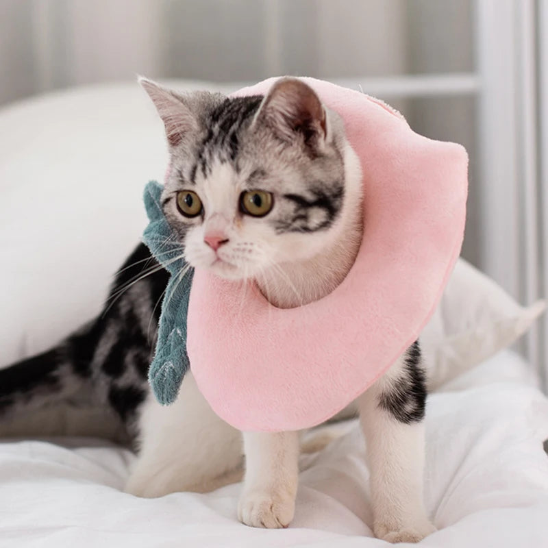 Soft Avocado Toast Pet Recovery Collar