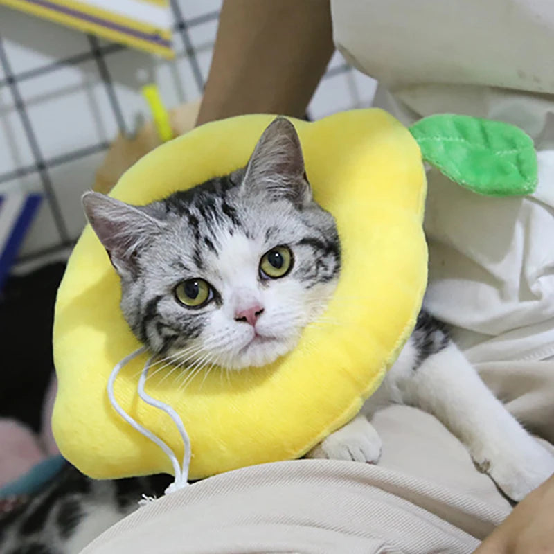 Soft Avocado Toast Pet Recovery Collar