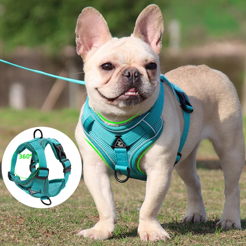 Ultimate No Pull Reflective Dog Harness and Leash Set