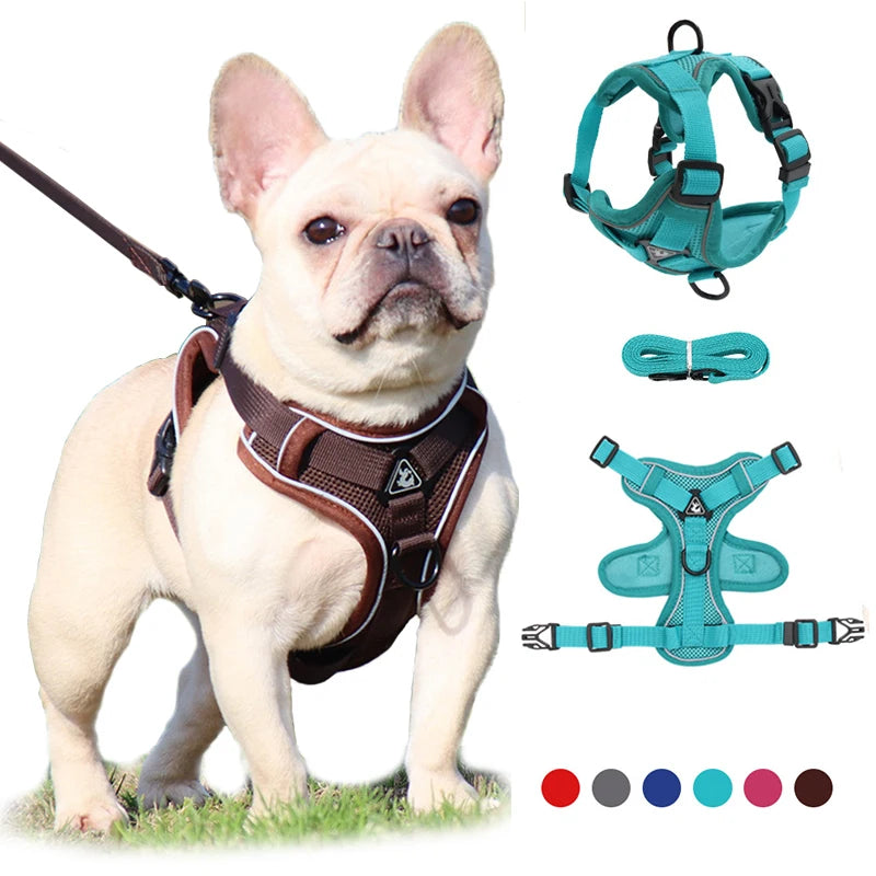 Ultimate No Pull Reflective Dog Harness and Leash Set