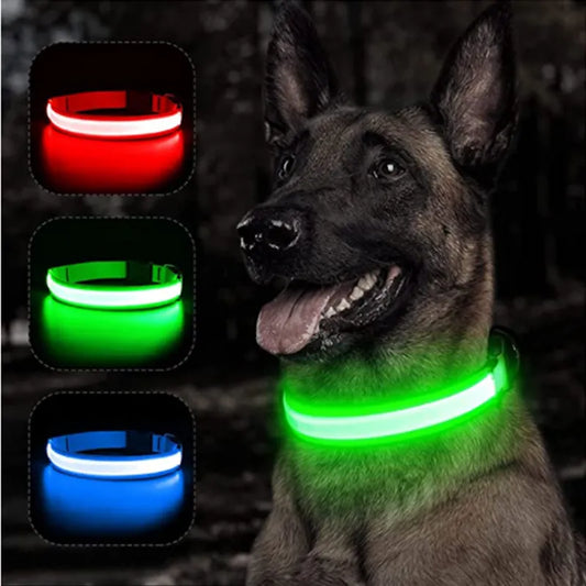 Rechargeable LED Glowing Dog Collar