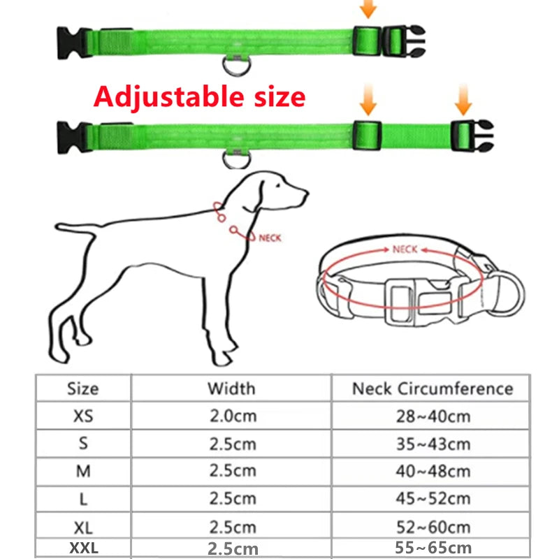 Rechargeable LED Glowing Dog Collar