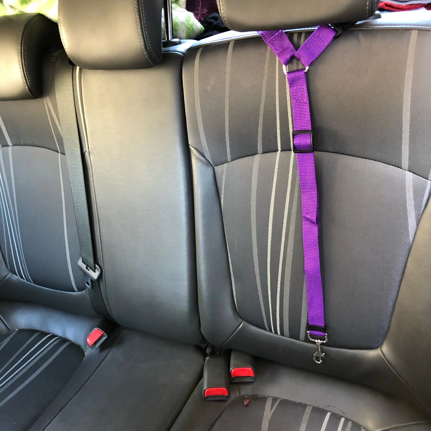 Adjustable Solid Color 2-in-1 Pet Car Seat Belt & Leash