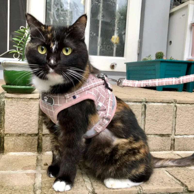 Breathable Mesh Adjustable Cat Harness and Leash Set