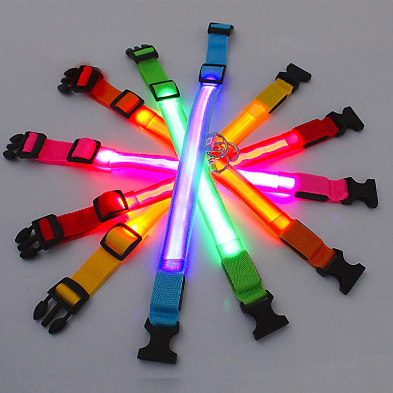 Rechargeable LED Glowing Dog Collar