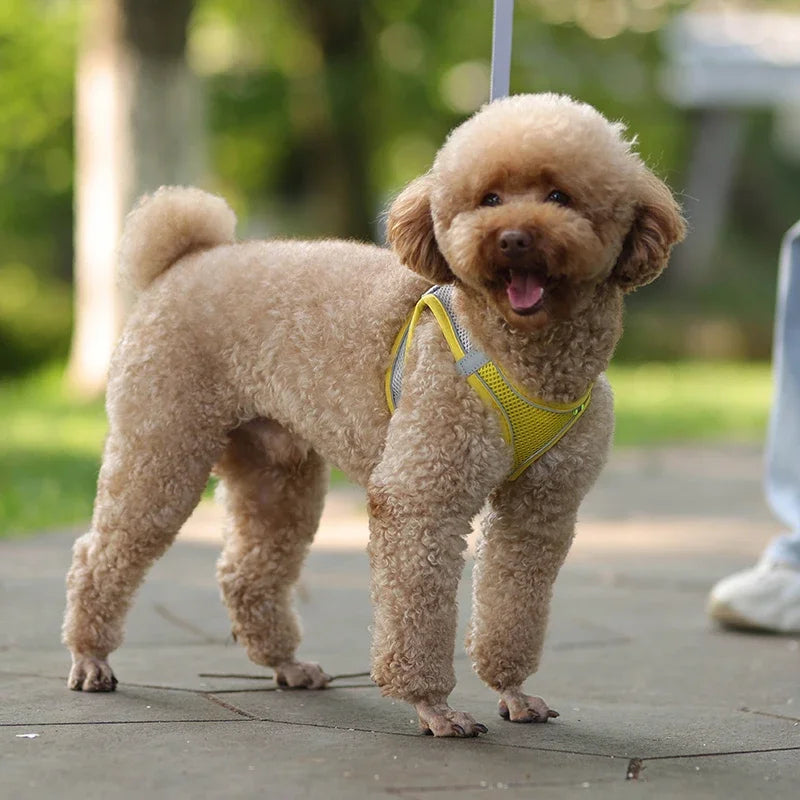 Reflective Breathable Adjustable Pet Harness Set