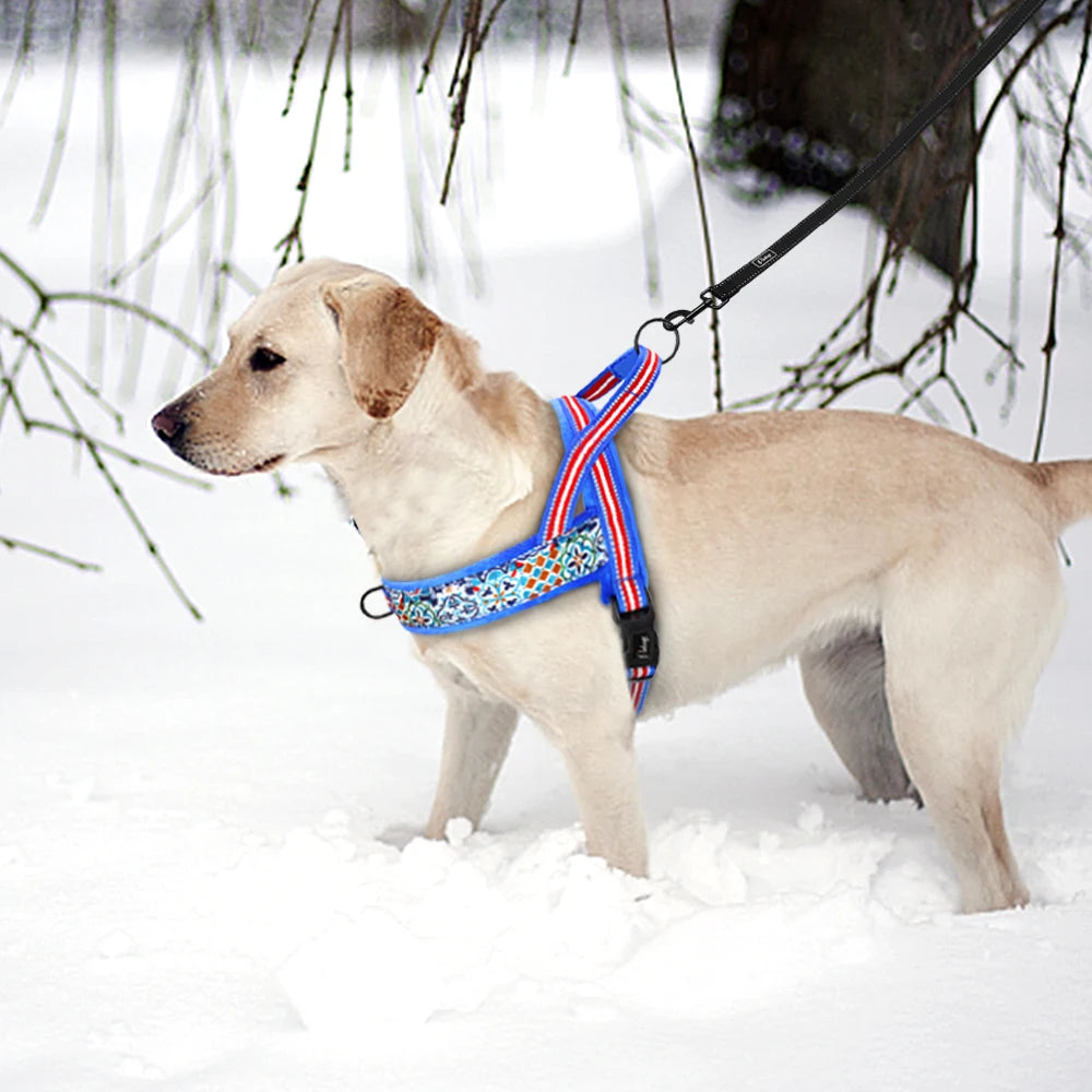 Cozy Winter Dog Harness Vest