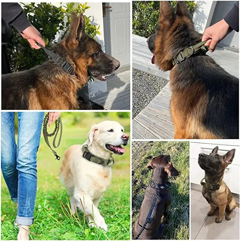 Premium Durable Tactical Dog Leash