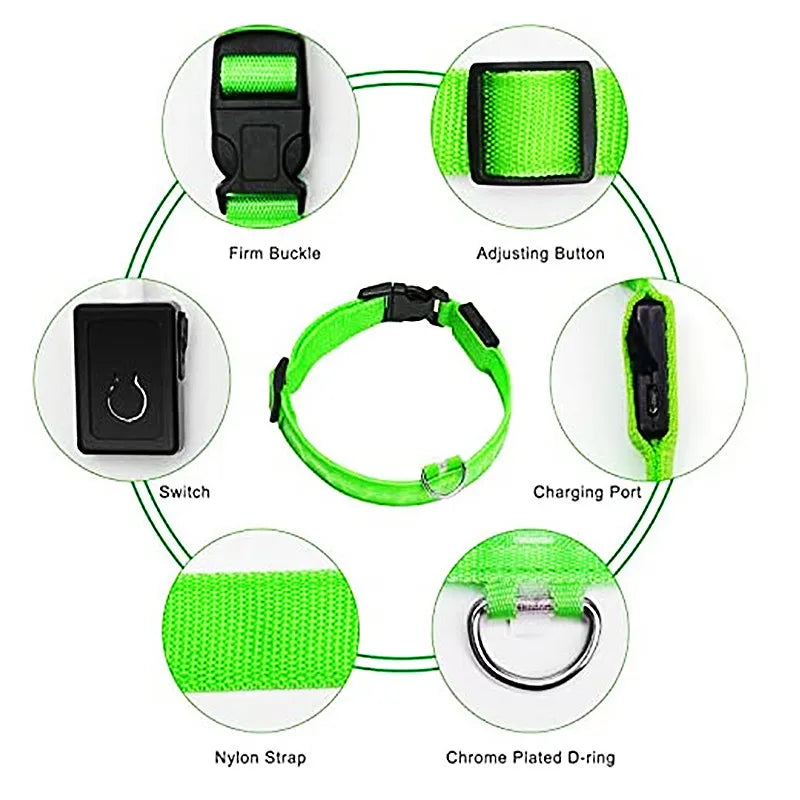 Rechargeable LED Glowing Dog Collar