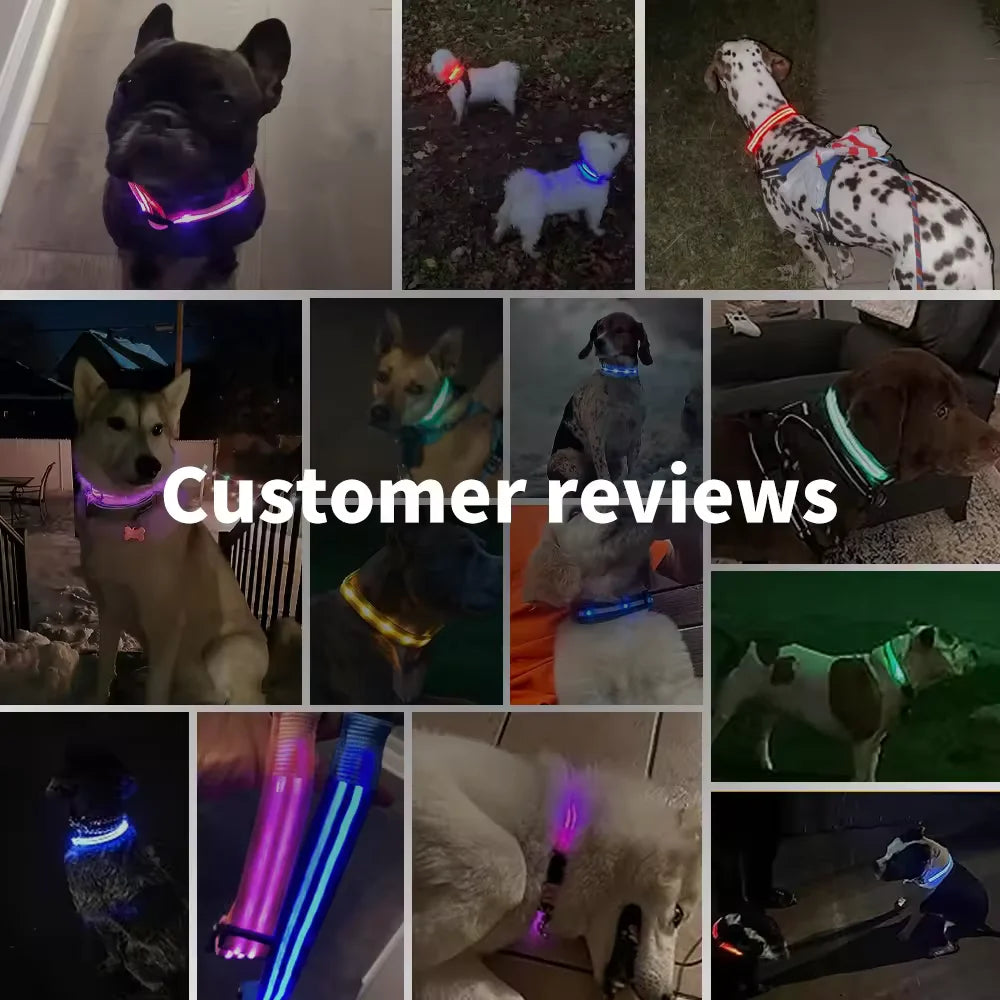 Rechargeable LED Glowing Dog Collar