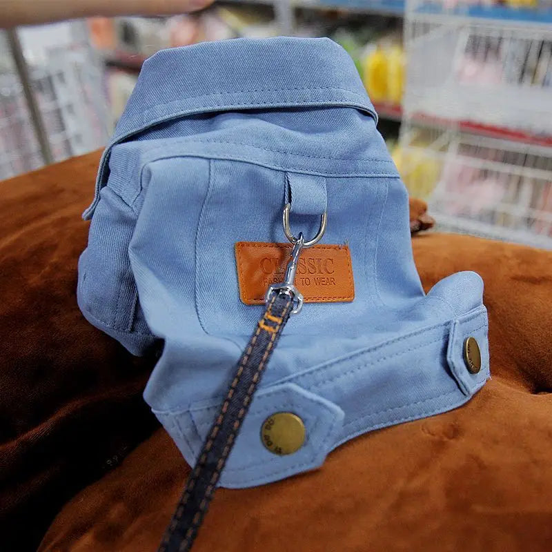 Spring Denim Dog Suit: Stylish Coat with D-Leash Ring for Small to Medium Dogs