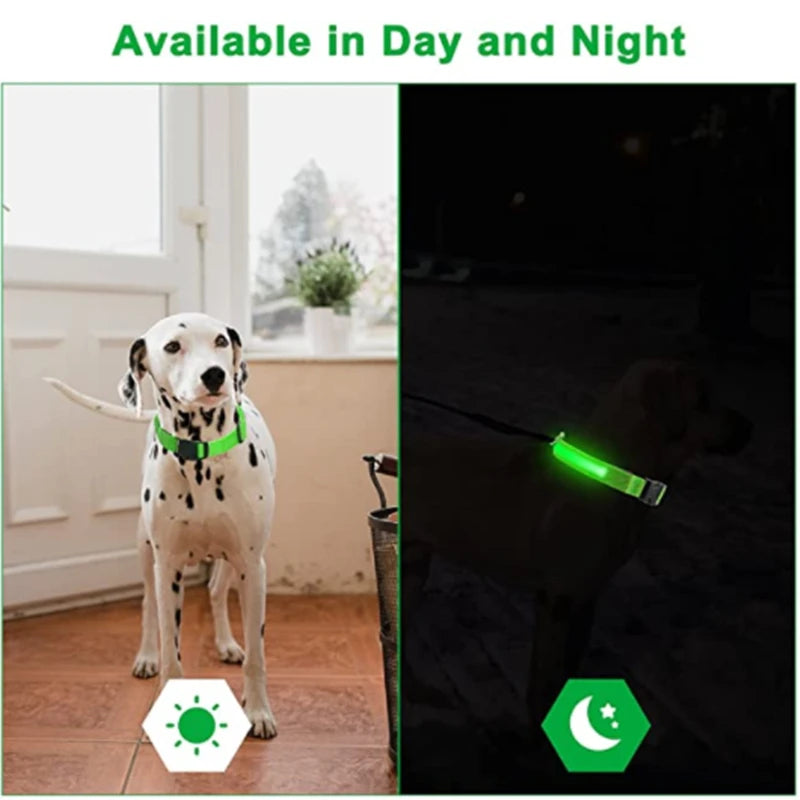 Rechargeable LED Glowing Dog Collar