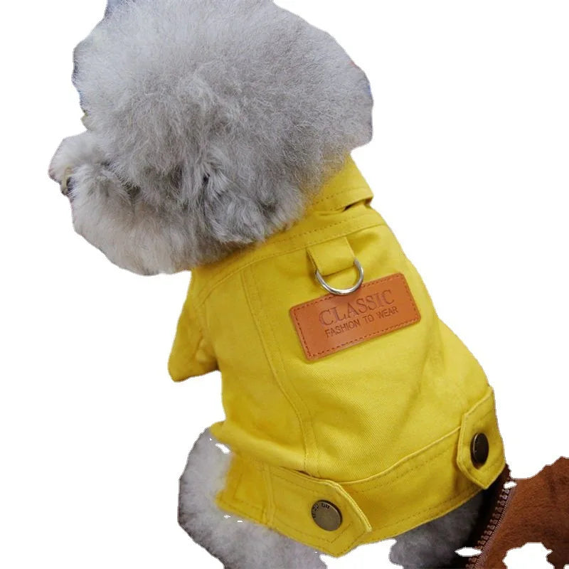 Spring Denim Dog Suit: Stylish Coat with D-Leash Ring for Small to Medium Dogs