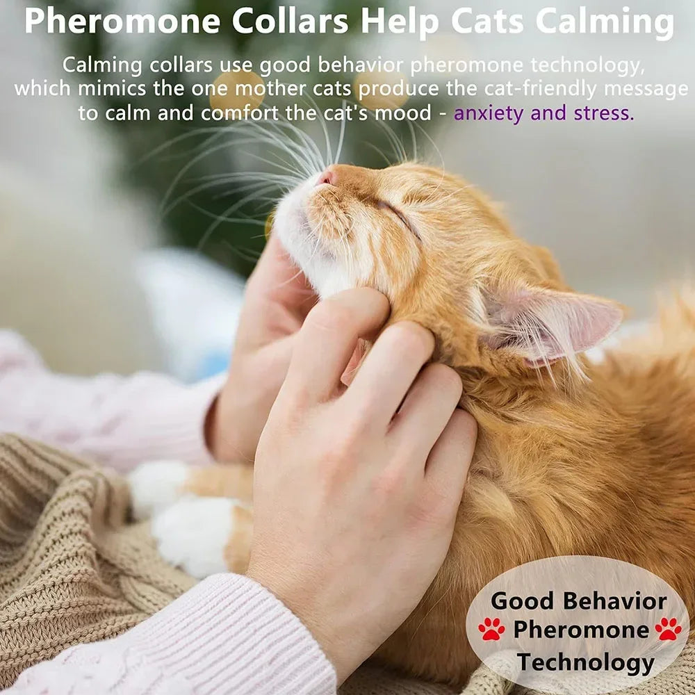 Natural Calm: Adjustable Anxiety-Reducing Pheromone Collar for Cats - Safe and Effective Anxiety Relief!