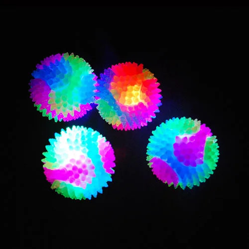 Fun Flashing Dog Ball Toys