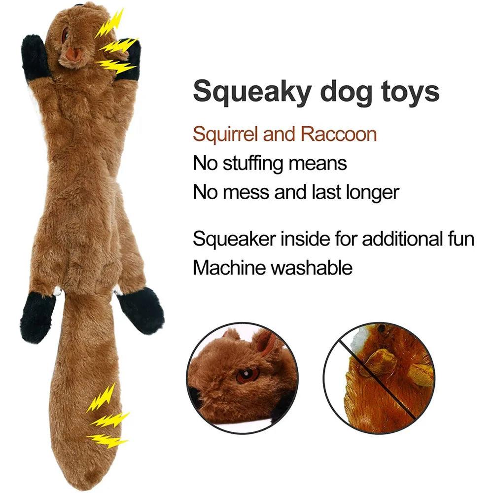 Squeaky & Crinkle Chew Toy for Dogs