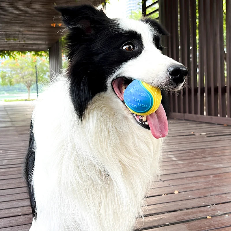 Interactive Squeaky Dog Ball