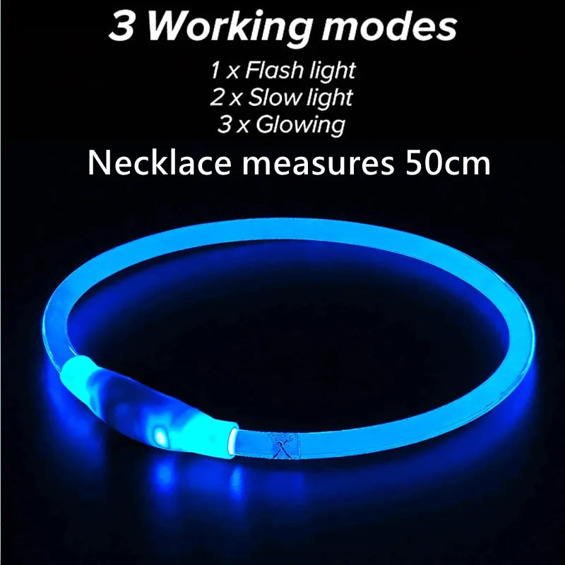 USB Rechargeable LED Dog Collar: Glowing Safety for Pets!