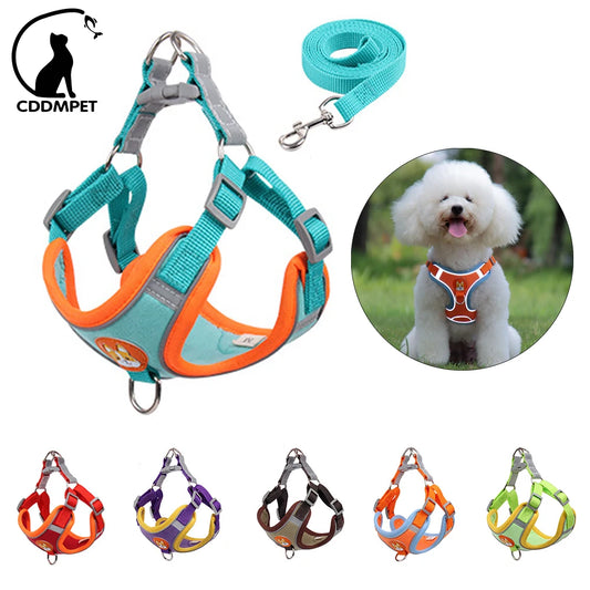 Ultimate No Pull Reflective Dog Harness and Leash Set