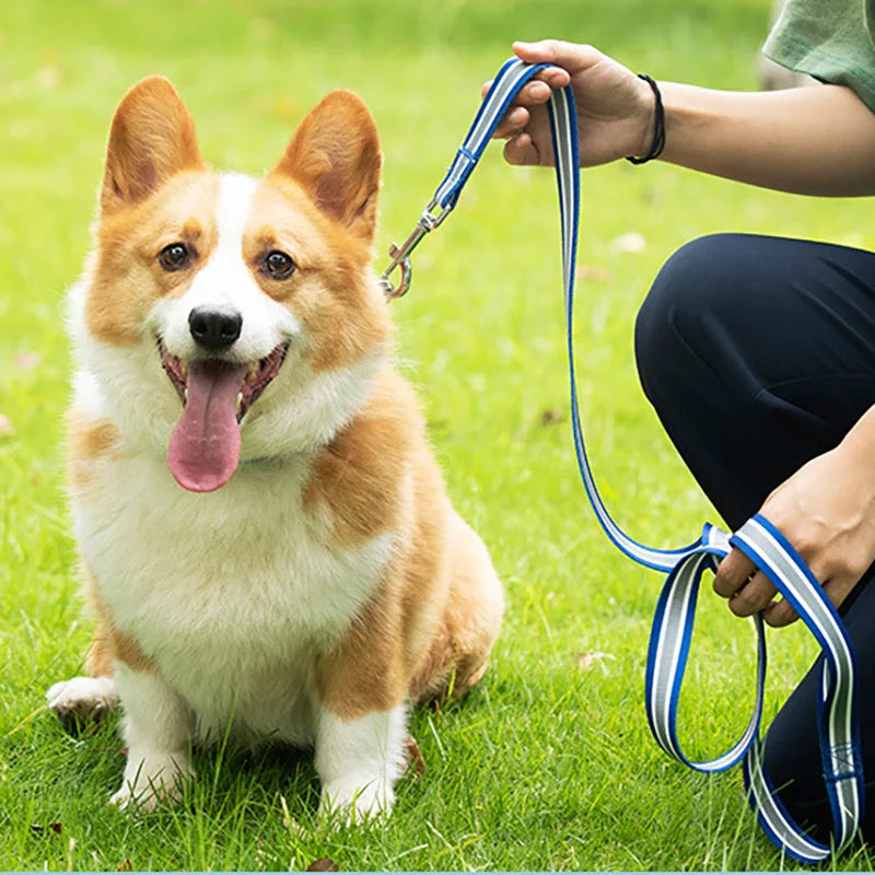 Rainbow Nylon Dog Leash and Collar Set & Individual