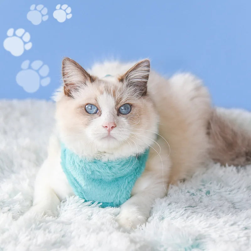 Premium Winter-Ready Cat and Puppy Harness Set