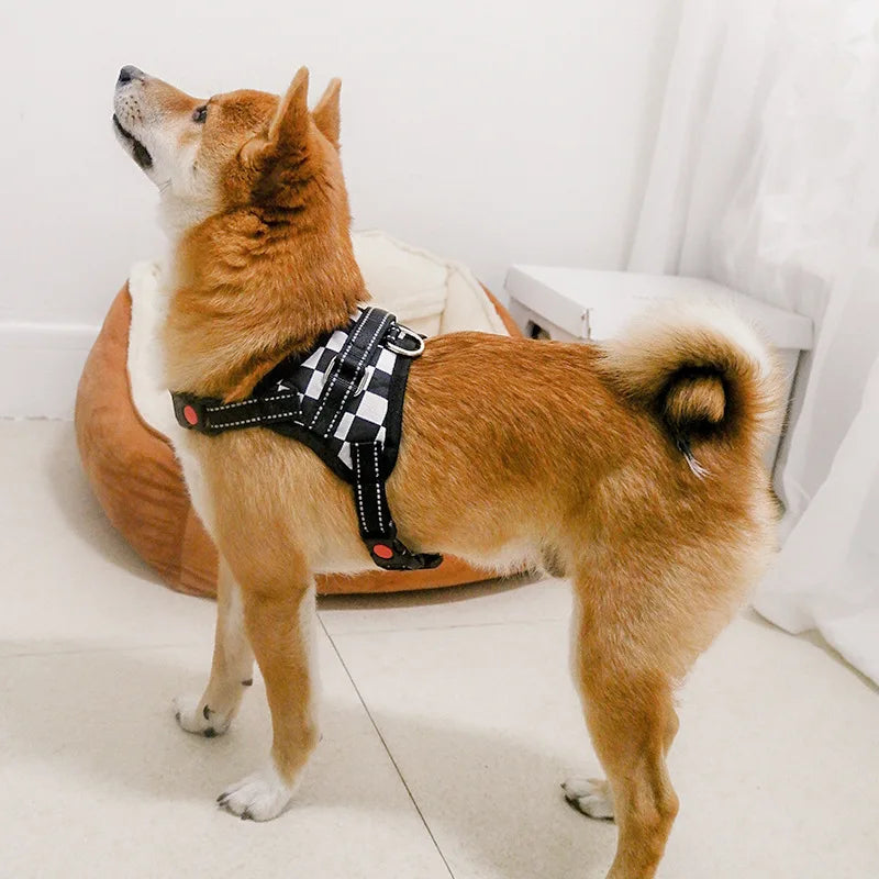 Ultimate All-Weather Reflective Dog Harness