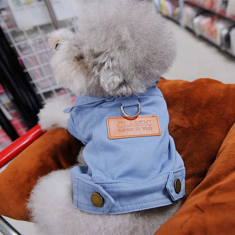 Spring Denim Dog Suit: Stylish Coat with D-Leash Ring for Small to Medium Dogs