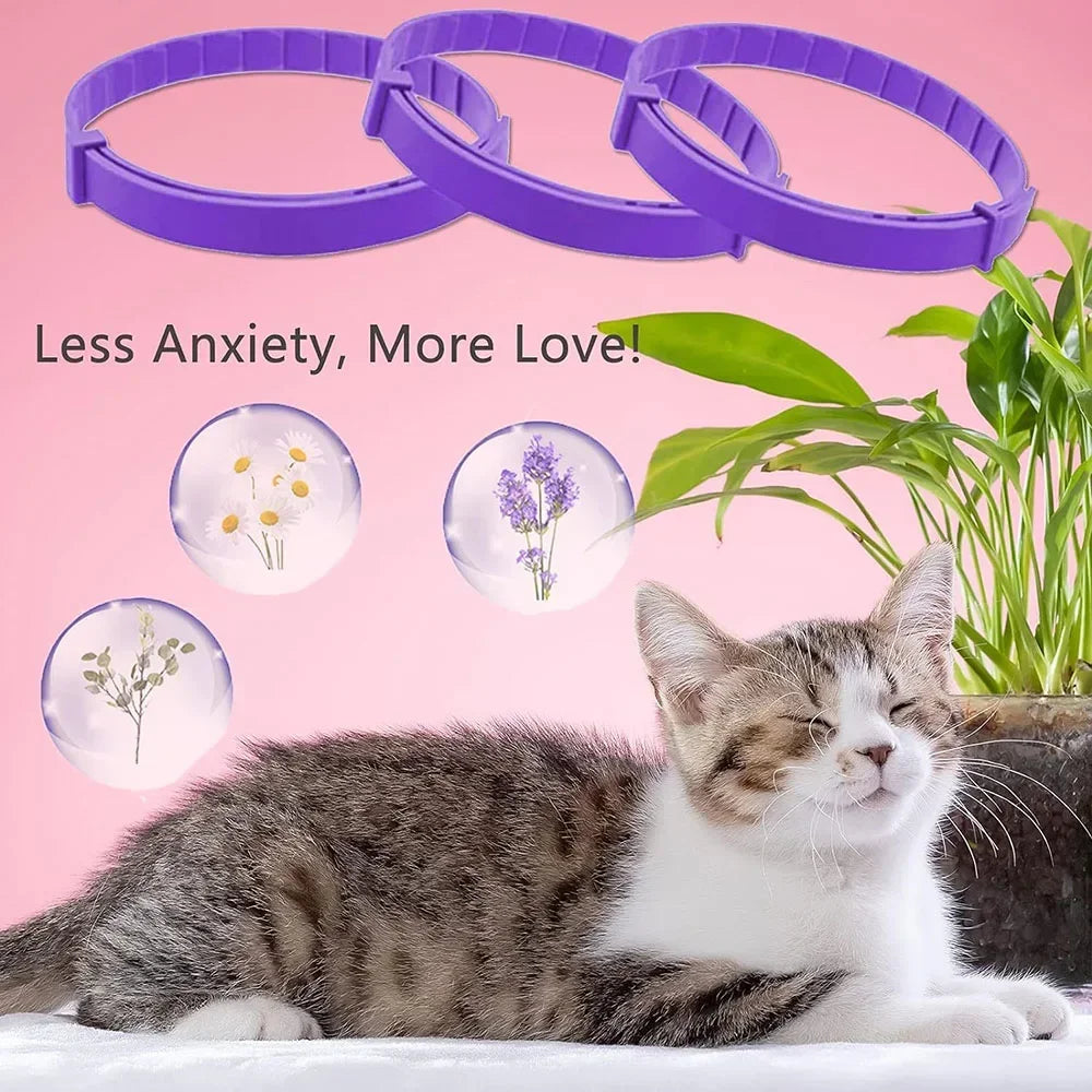 Natural Calm: Adjustable Anxiety-Reducing Pheromone Collar for Cats - Safe and Effective Anxiety Relief!