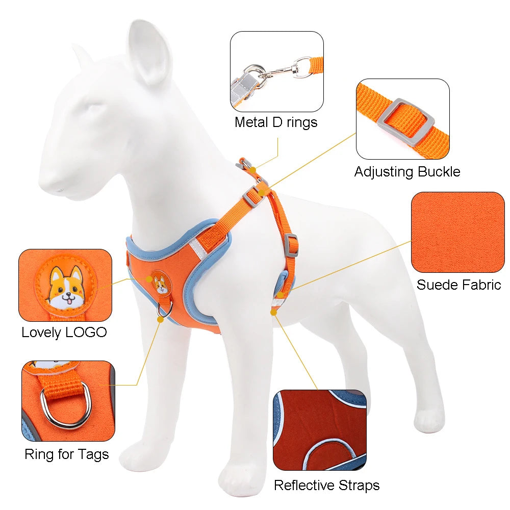 Ultimate No Pull Reflective Dog Harness and Leash Set