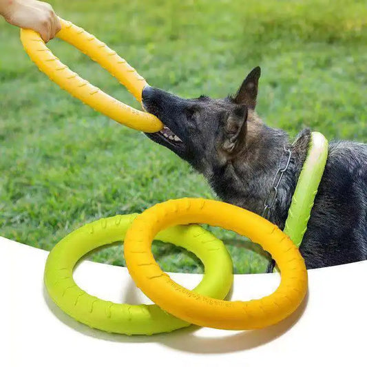 Interactive Flying Disk for Dogs